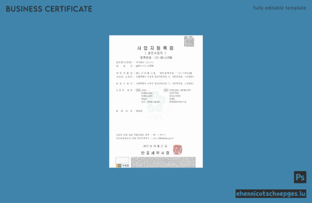 Beispielansicht eines Registrierungszertifikats aus Korea